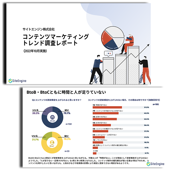 アンケート/調査レポートタイプのサンプル